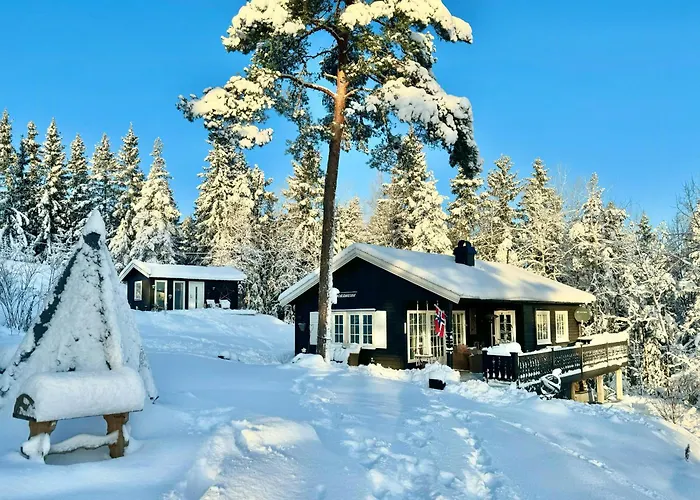 With Annex And View Over Oymarksjoen Vakantiehuis Orje